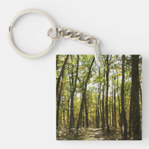 Appalachian Trail i oktober i Shenandoah