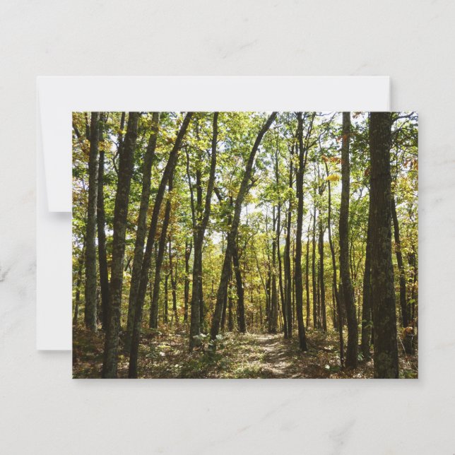 Appalachian Trail i oktober i Shenandoah (Framsida)