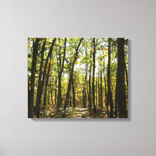 Appalachian Trail i oktober i Shenandoah Canvastryck