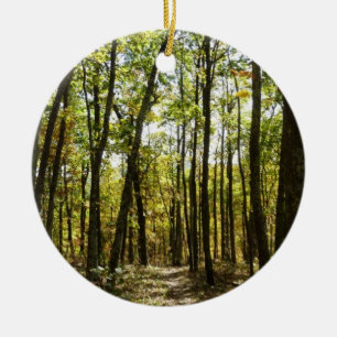 Appalachian Trail i oktober i Shenandoah Julgransprydnad Keramik