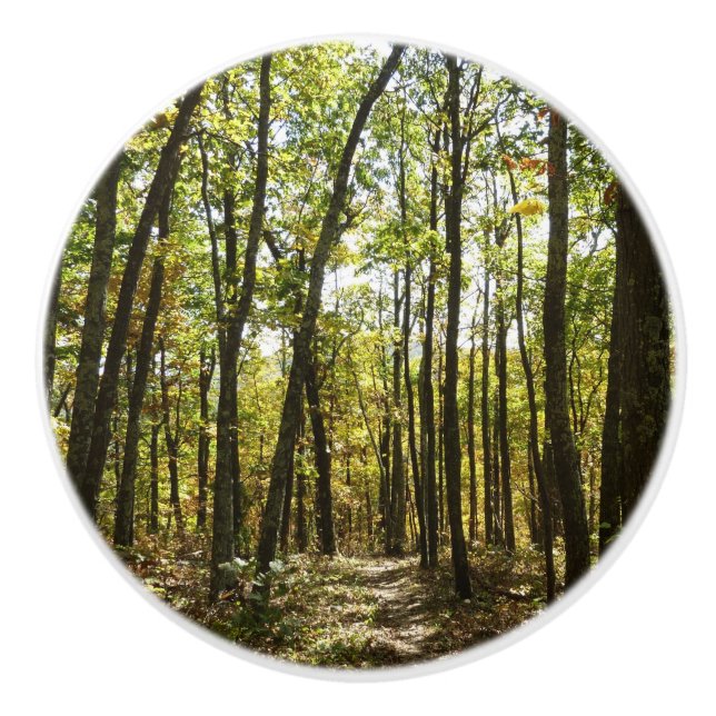 Appalachian Trail i oktober i Shenandoah Knopp (Framsidan)