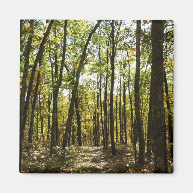 Appalachian Trail i oktober i Shenandoah Magnet (Framsidan)