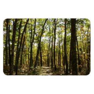 Appalachian Trail i oktober i Shenandoah Magnet