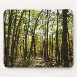Appalachian Trail i oktober i Shenandoah Musmatta
