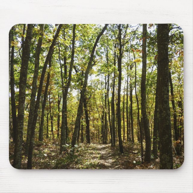 Appalachian Trail i oktober i Shenandoah Musmatta (Framsidan)