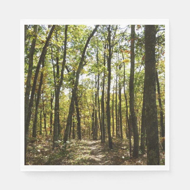 Appalachian Trail i oktober i Shenandoah Pappersservett (Framsidan)