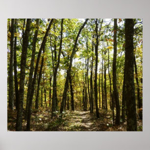 Appalachian Trail i oktober i Shenandoah Poster