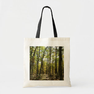 Appalachian Trail i oktober i Shenandoah Tygkasse