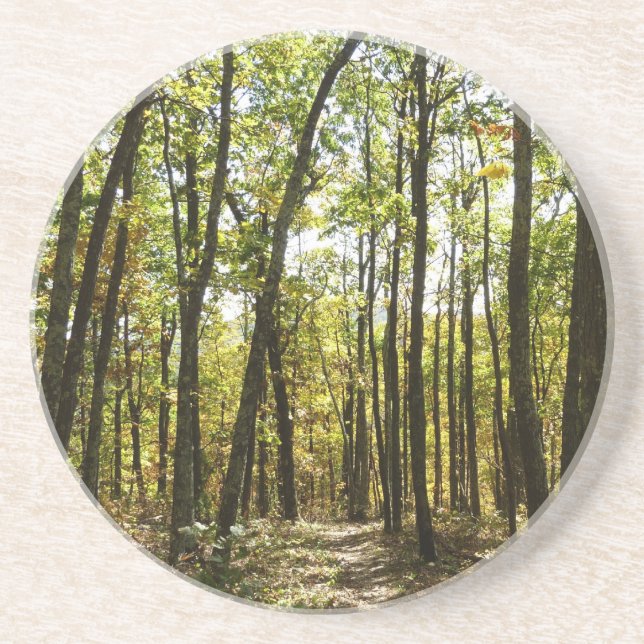 Appalachian Trail i oktober i Shenandoah Underlägg (Framsidan)