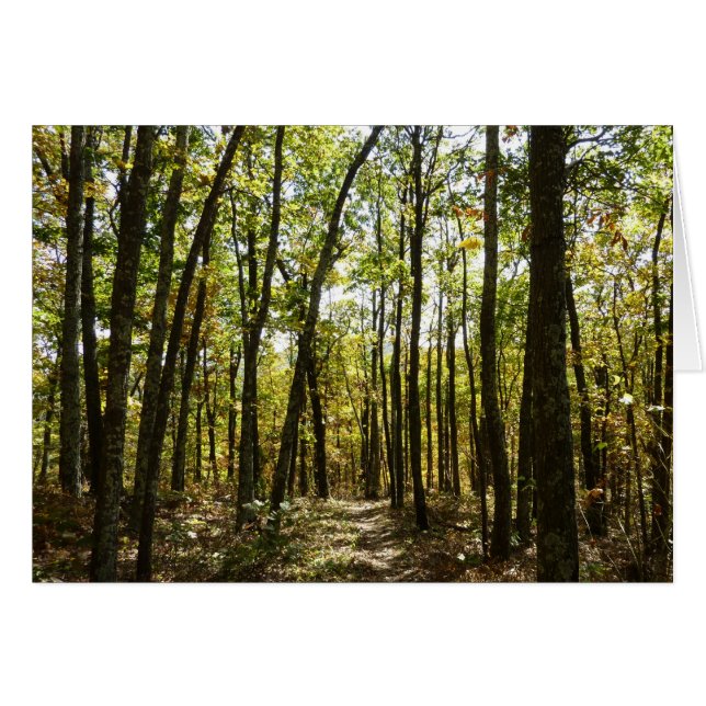 Appalachian Trail i oktober vid Shenandoah Hälsningskort (Framsidan Horizontal)