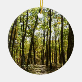Appalachian Trail i oktober vid Shenandoah Julgransprydnad Keramik