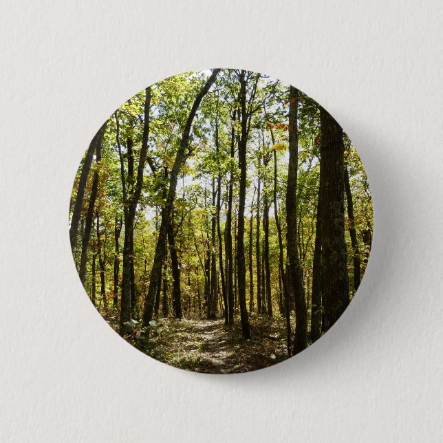 Appalachian Trail i oktober vid Shenandoah Knapp (Framsida)