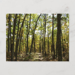 Appalachian Trail i oktober vid Shenandoah Vykort