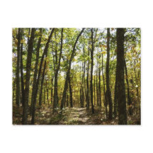 Appalachian Trail i oktober vid Shenandoah
