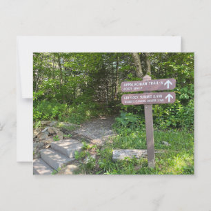 Appalachian Trail Mt. Greylock Postcard Vykort