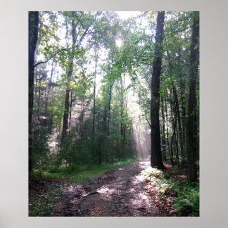 Appalachian Trail, PA Poster