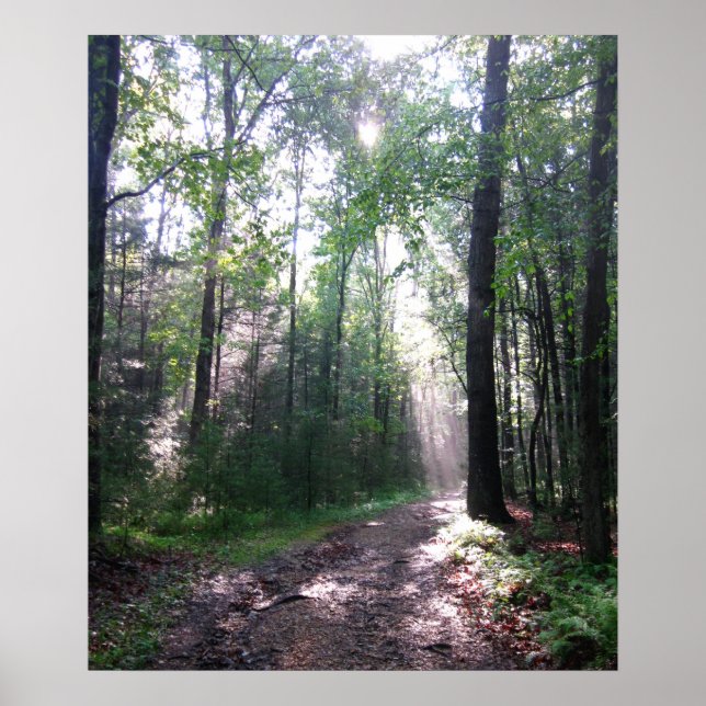 Appalachian Trail, PA Poster (Framsidan)