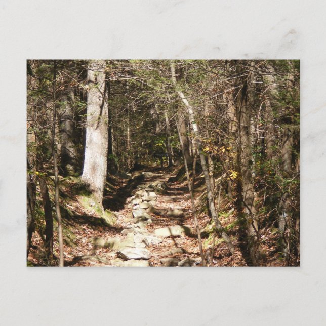 appalachian trail pennsylvania vykort (Framsida)