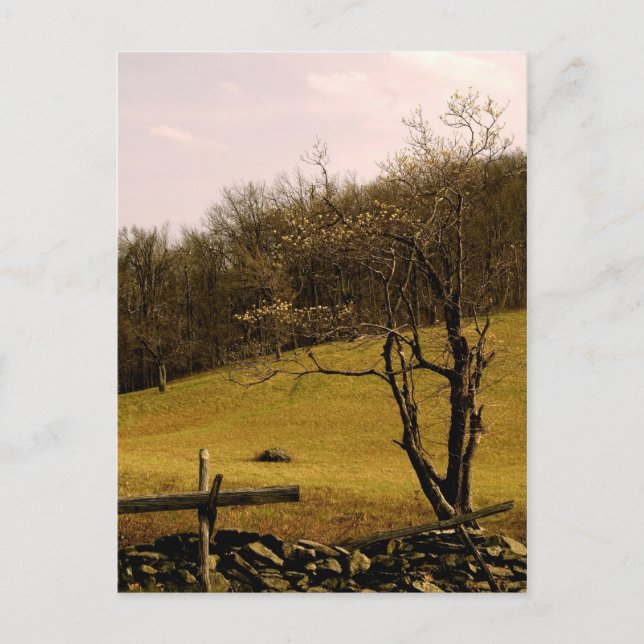 Appalachian Trail POST-kort Vykort (Framsida)