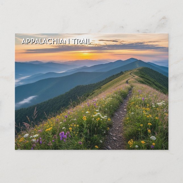 Appalachian Trail Travel Vykort (Framsida)