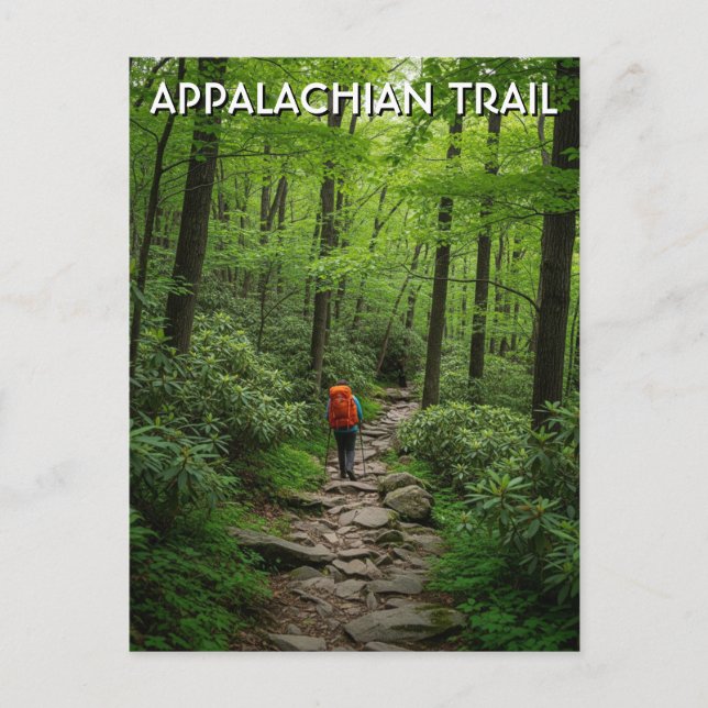 Appalachian Trail Travel Vykort (Framsida)