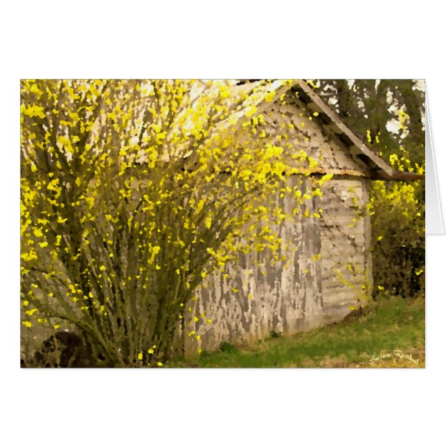 Appalachian Vår Hälsningskort (Framsidan Horizontal)