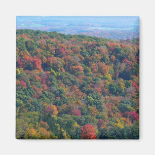 Appalachianbergen i Fall Magnet