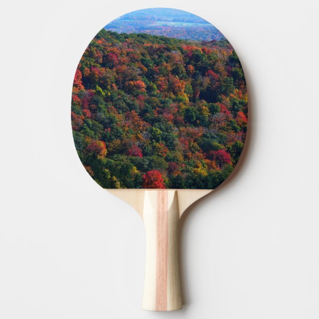 Appalachianbergen i Fall Pingisracket (Framsidan)