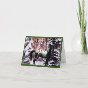 Appaloosa & Cardinals Helgkort