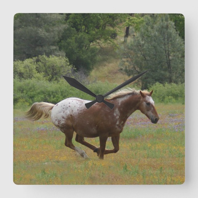 Appaloosa Clock Fyrkantig Klocka (Framsida)