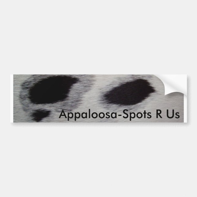 Appaloosa-Fläckar R oss Bildekal (Framsidan)