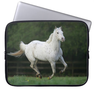 Appaloosa-häst som springer 1 laptop sleeve