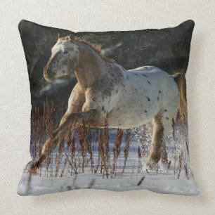 Appaloosa-häst som springer i snön kudde