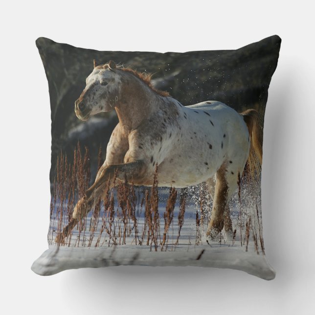 Appaloosa-häst som springer i snön kudde (Framsida)