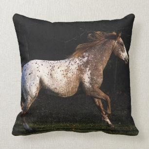 Appaloosa-häst springer 4 kudde