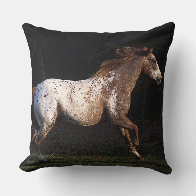 Appaloosa-häst springer 4 kudde (Framsida)