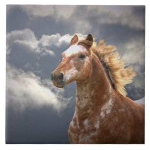 Appaloosa Horse and Clouds Kakelplatta