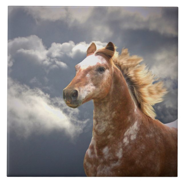 Appaloosa Horse and Clouds Kakelplatta (Framsidan)