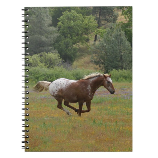 Appaloosa Horse Anteckningsbok (Framsidan)