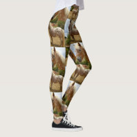 Appaloosa Horse Collage, Dam Fullt Print Legging