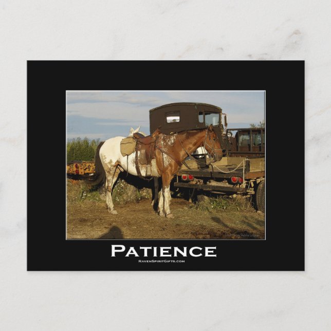 Appaloosa Horse Equine Motivational Art Card Vykort (Framsida)