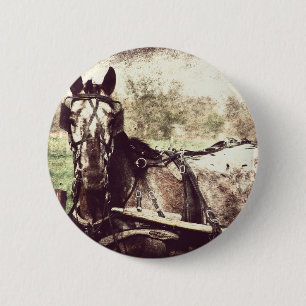 Appaloosa Horse Knapp