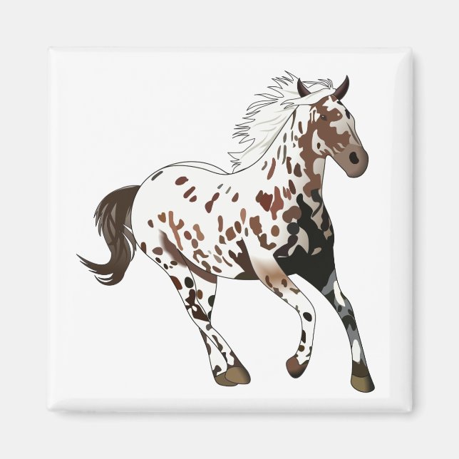 Appaloosa Horse Magnet (Framsidan)
