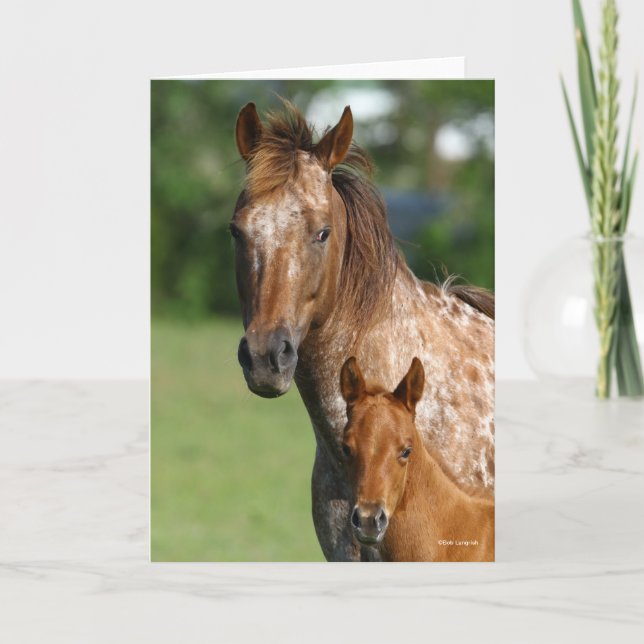 Appaloosa Horse Mare and Foal Headshot Kort (Framsida)