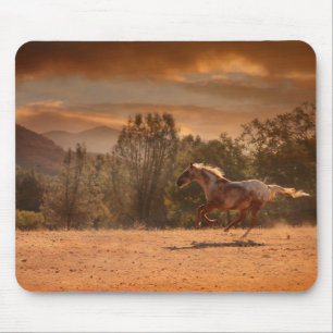 Appaloosa Horse Mousepad Musmatta