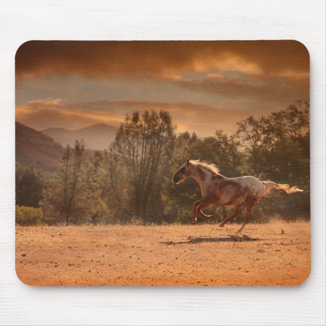 Appaloosa Horse Mousepad Musmatta (Framsidan)