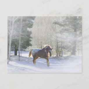 Appaloosa Horse på Snö-säsongens möten Helg Vykort
