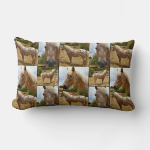 Appaloosa Horse, Photo Collage Lumbar Cushion. Lumbarkudde