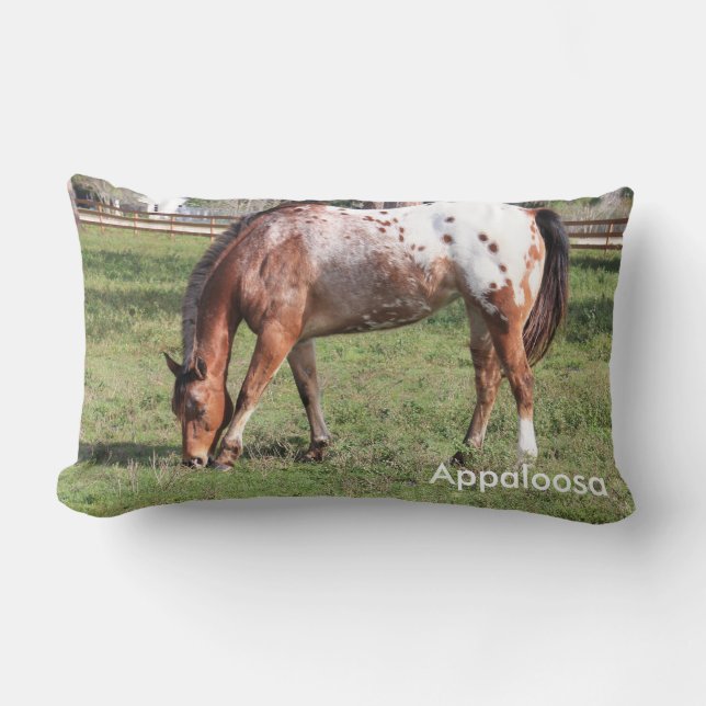 Appaloosa Horse Pillow Lumbarkudde (Framsida)