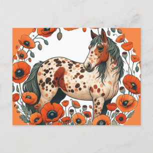 Appaloosa Horse Poppy Appy Horses Vykort